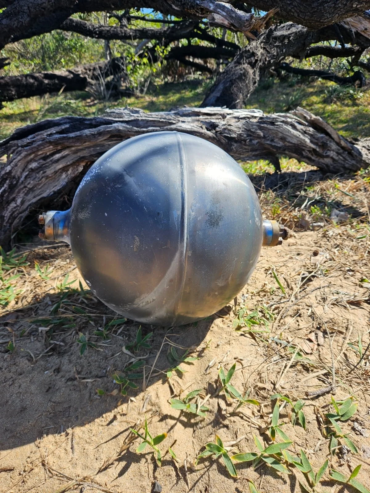 Strange black ball found in Queensland beach