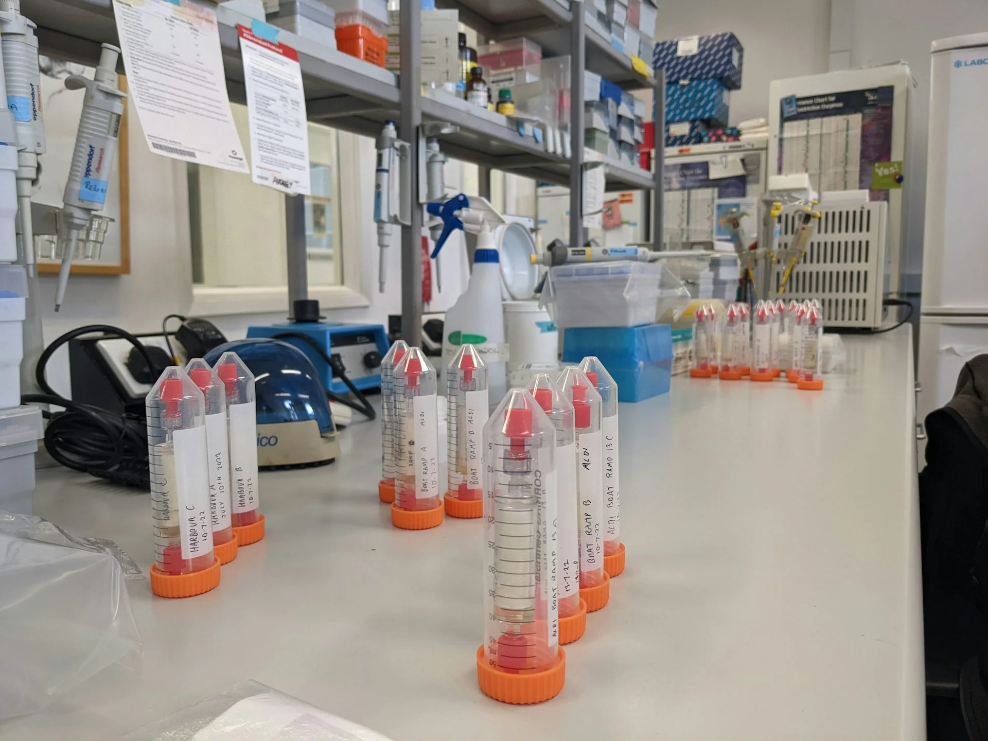 Orange cap test tubes lined up on a lab table