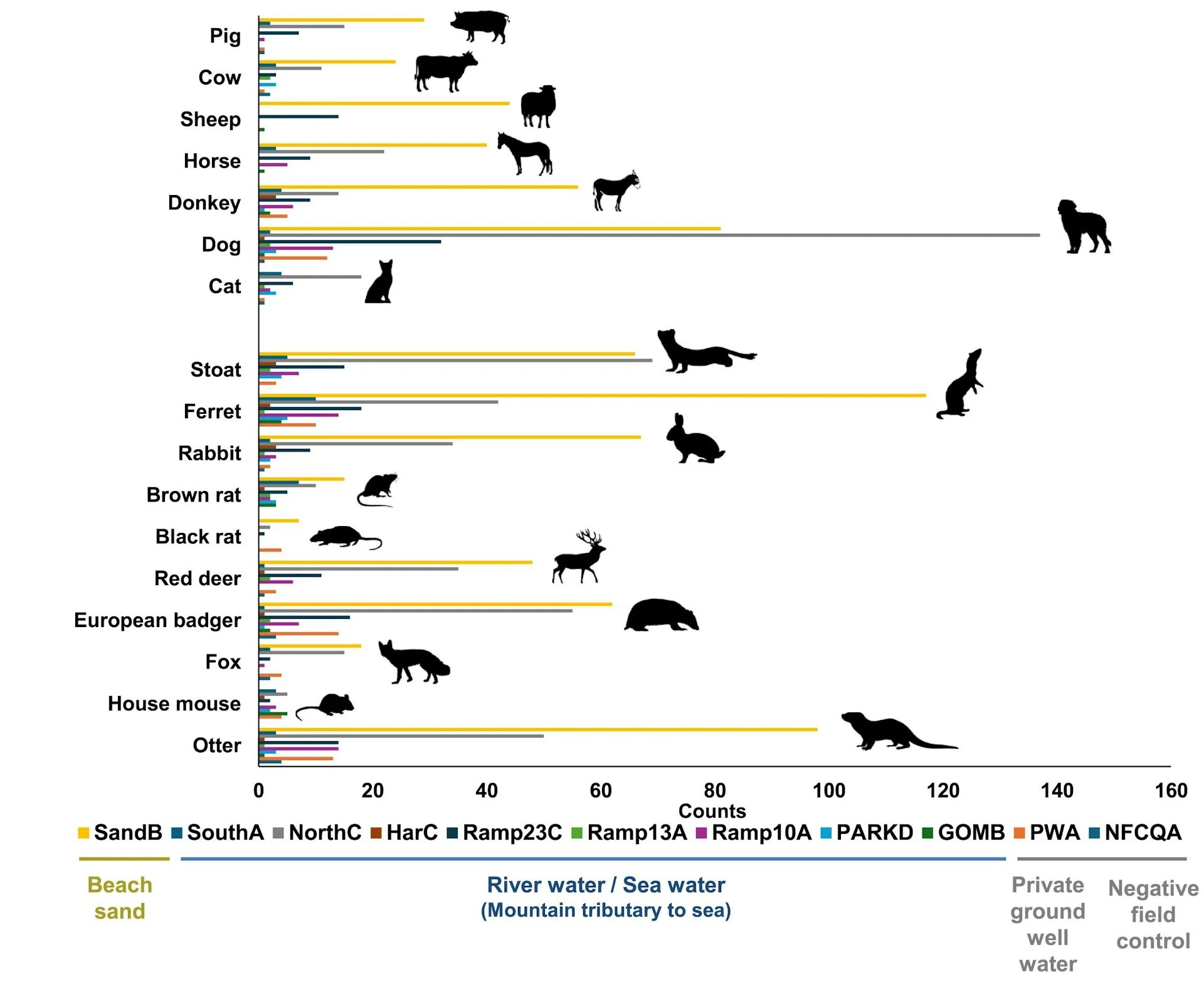Horizontal bar graph showing eDNA counts of animals like pigs, cows, sheep and horses, among others. Dogs, ferrets and otters have the highest concentration of eDNA