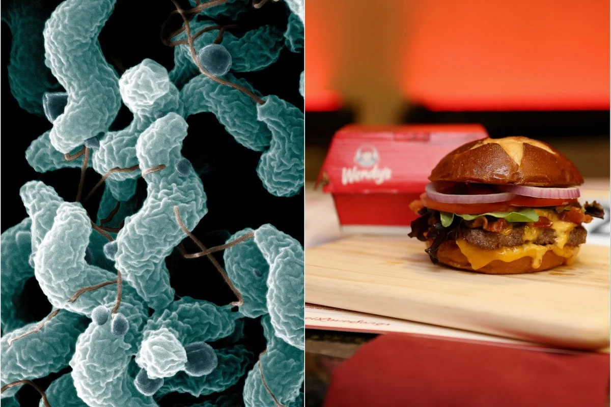 Exclusive: Chicago woman hospitalized after eating ‘bacteria-tainted’ Wendy’s double cheeseburger, lawsuit says