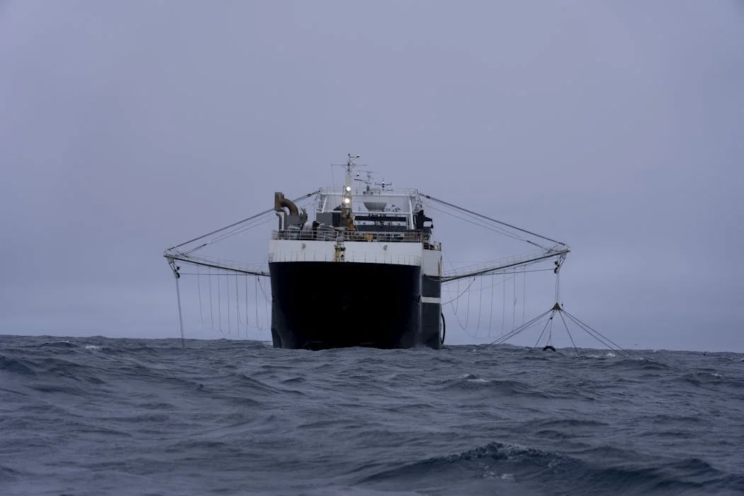 Antarctic krill fishing is now concentrated in the exact pattern conservation rules were designed to prevent