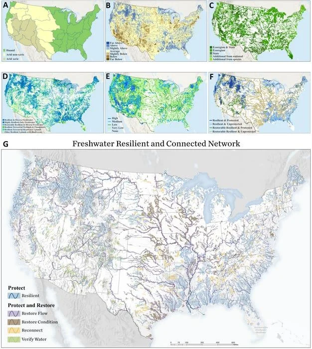 A new map shows which rivers are resilient and which are vulnerable across the U.S. The rivers are highlighted with colors - blue, purple, brown, yellow and green - that correspond to their level of resiliency as shown in the key on the bottom left of the image