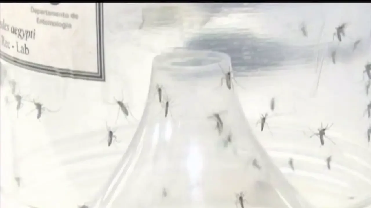 West Nile virus detected near Old National Park