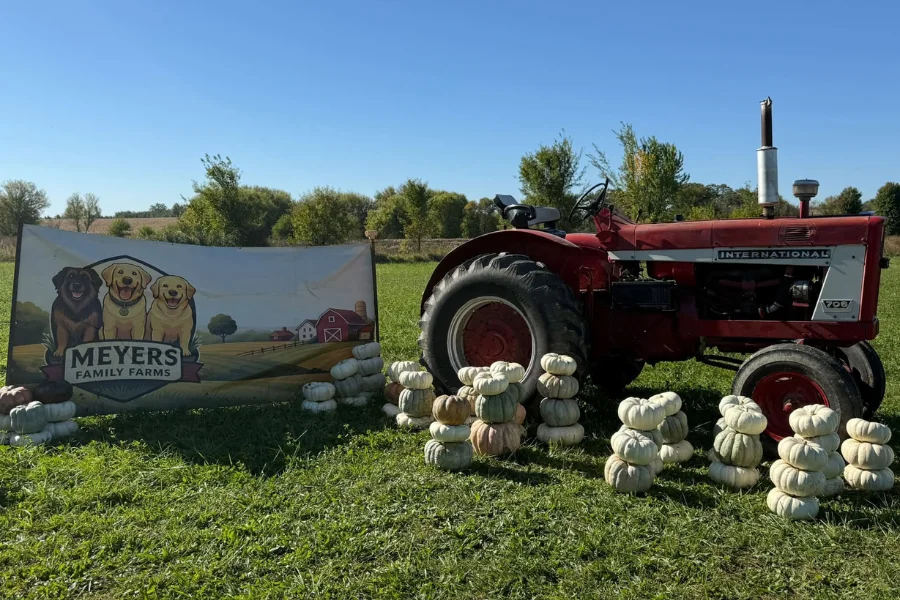The Meyers Family Farm in Capron, Illinois, says thieves stole about 200 pumpkins after reports of crop thefts at nearby farms